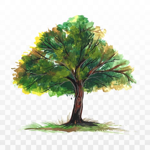 Ручной рисунок акварелью лесное дерево фон