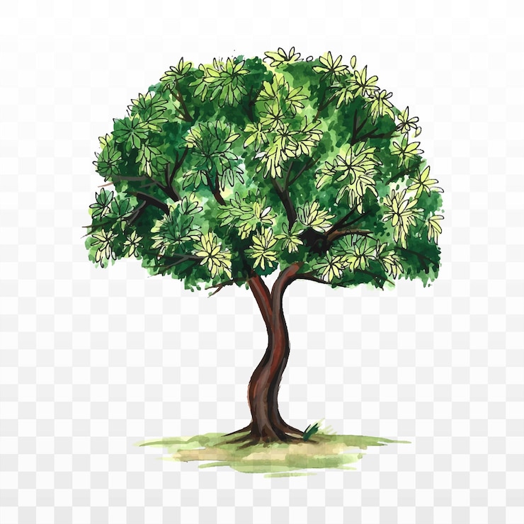 Free Vector hand draw watercolor green forest tree background