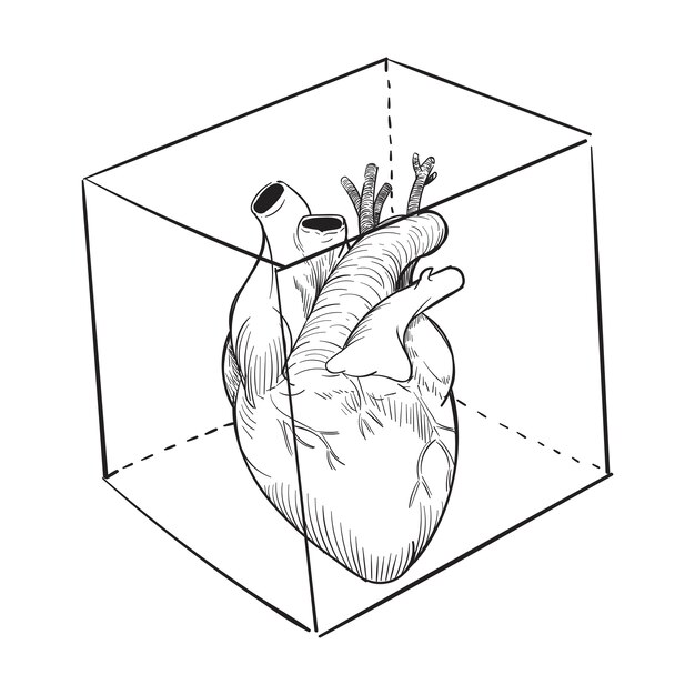 Иллюстрация ручного рисунка захваченного сердца