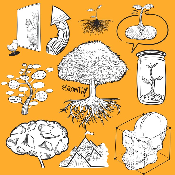 Free Vector hand drawing illustration set of development