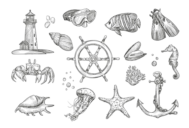 Hand drawing nautical elements illustration collection
