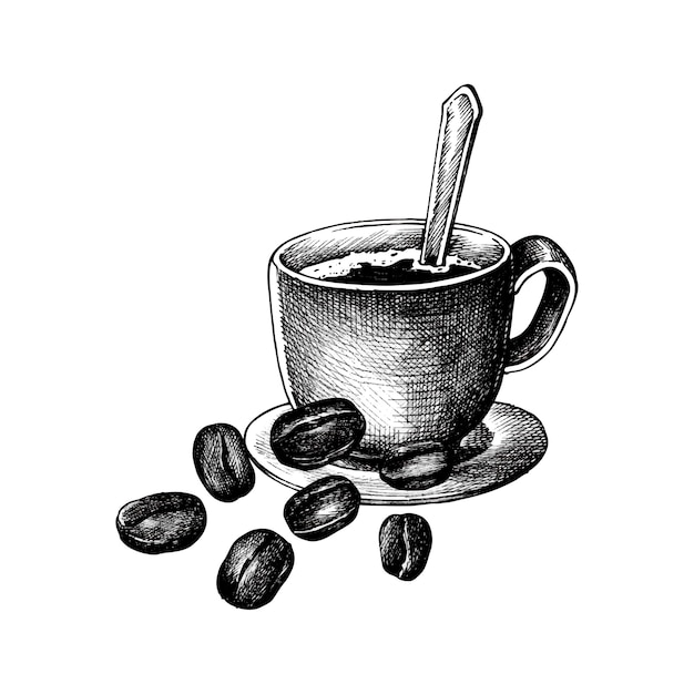 Free vector hand drawm coffee and coffee bean