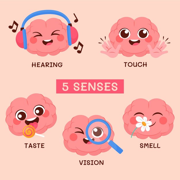 Free Vector hand drawn 5 senses illustration