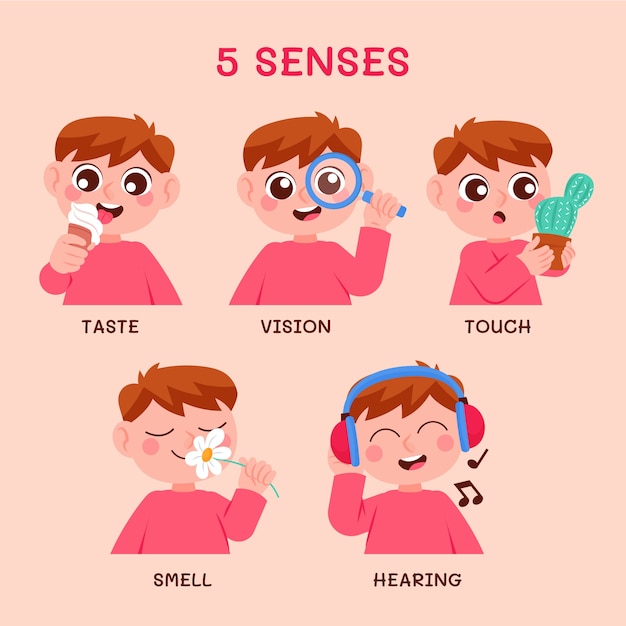 Hand drawn 5 senses illustration