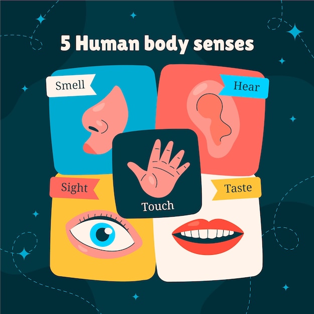 Free vector hand drawn 5 senses illustration