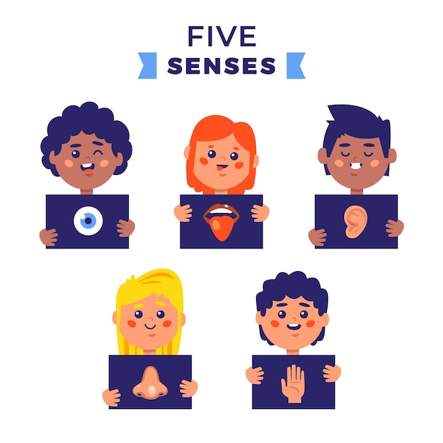 Free vector hand drawn 5 senses illustration