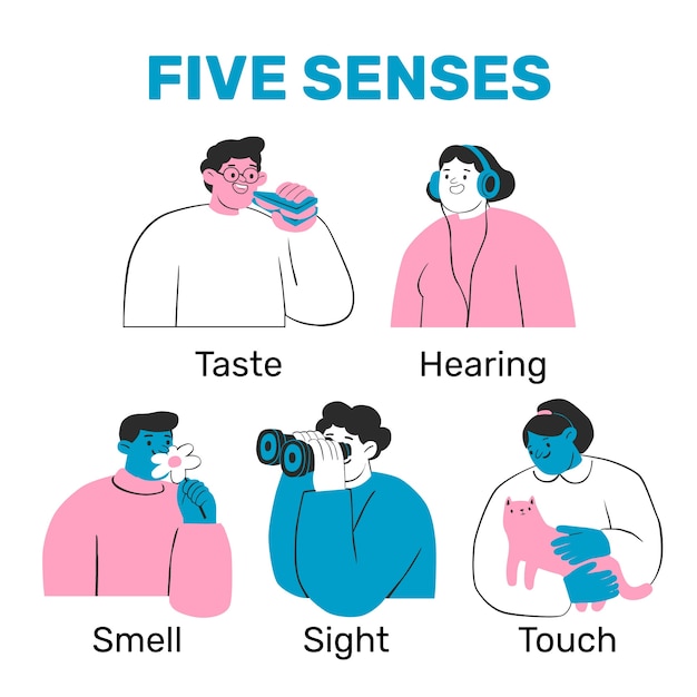 Free vector hand drawn 5 senses illustration