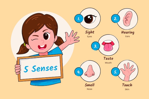 Hand drawn 5 senses illustration