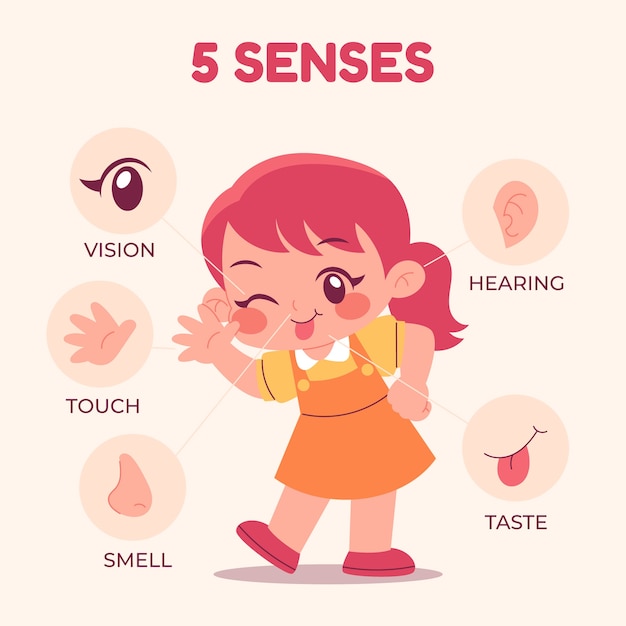 Hand drawn 5 senses illustration