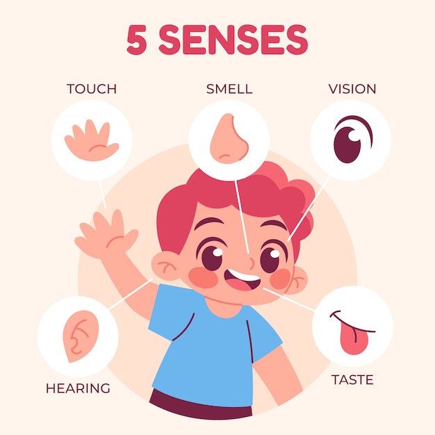 Free vector hand drawn 5 senses illustration