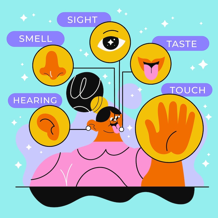 Free Vector hand drawn 5 senses illustration