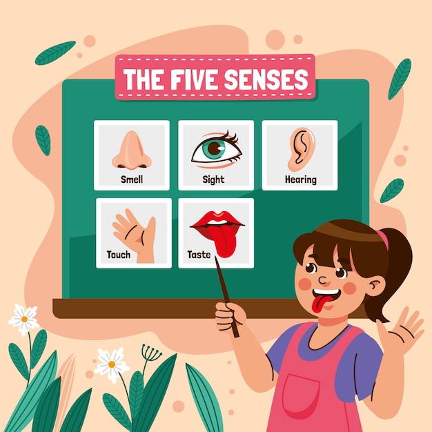 Hand drawn 5 senses illustration