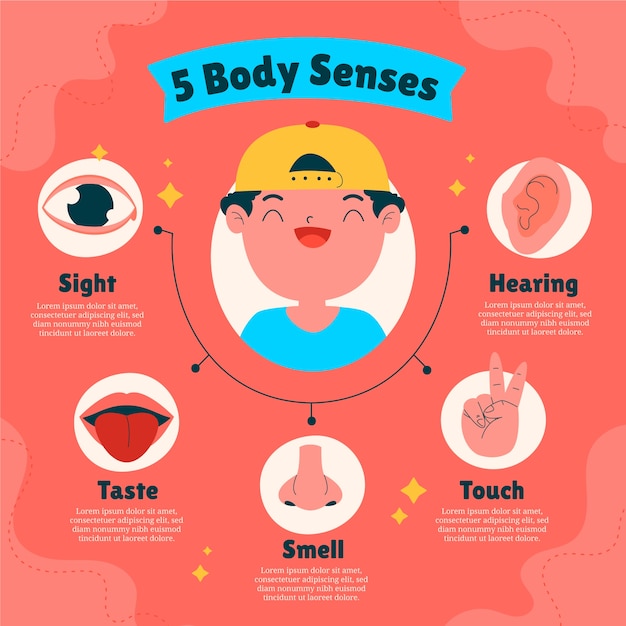 무료 벡터 손으로 그린 오감 infographic