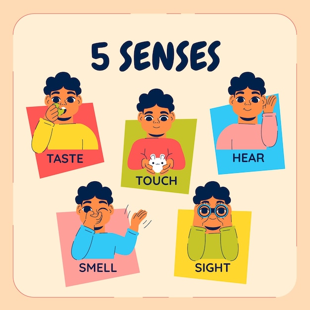 Free vector hand drawn 5 senses infographic