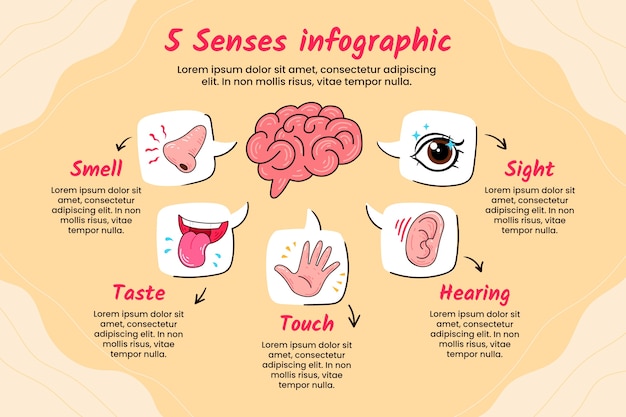 手描き五感インフォグラフィック