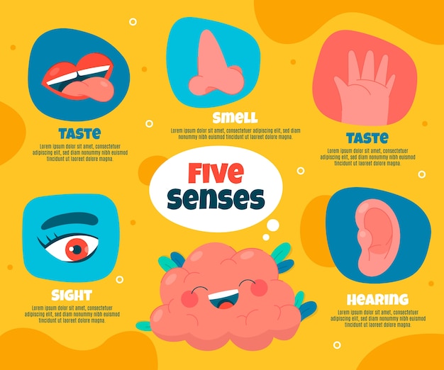 Free vector hand drawn 5 senses  infographic