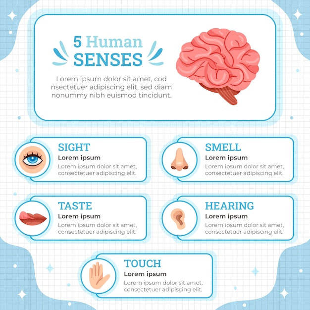 Hand drawn 5 senses infographic