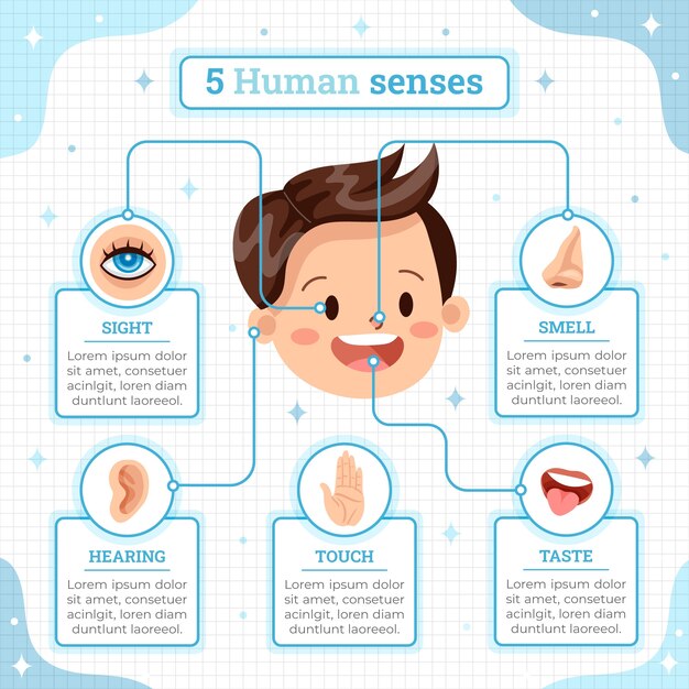 Hand drawn 5 senses infographic