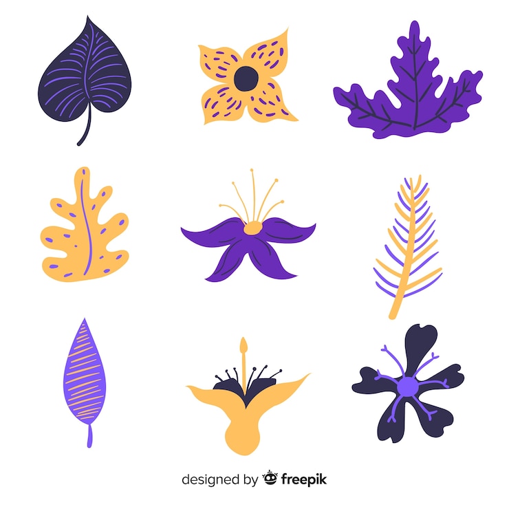 Free Vector hand drawn abstract flowers and leaves pack