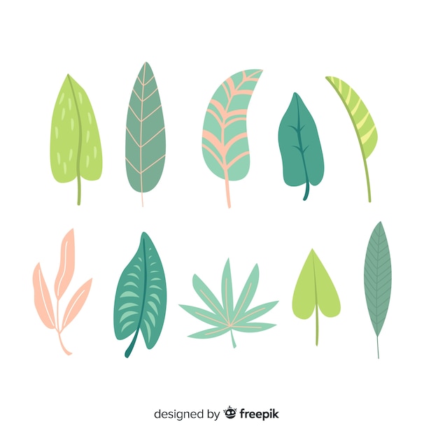 손으로 그린 초록 나뭇잎 컬렉션