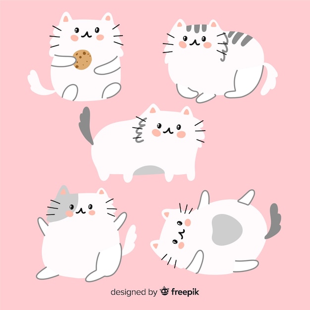 Cat Images Free Vectors Stock Photos Psd