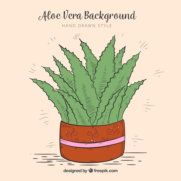 Free vector hand drawn aloe vera flowerpot background