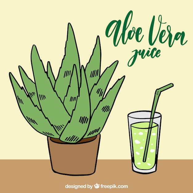 Hand drawn aloe vera juice background