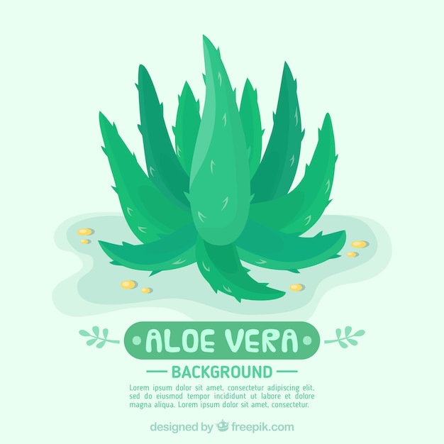 Disegnato a mano aloe vera pianta sfondo