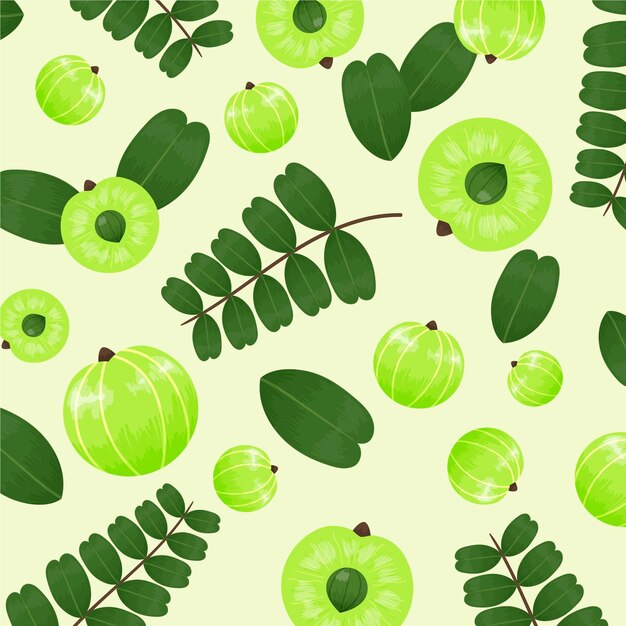 Hand drawn amla fruit background illustrated