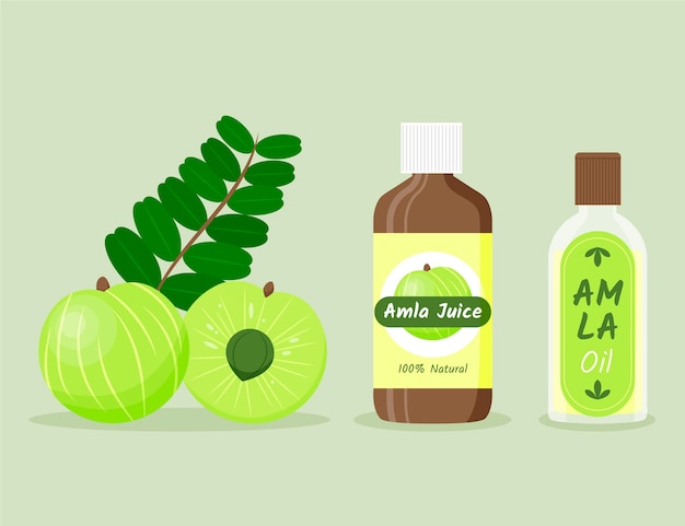 Hand drawn amla fruit elements pack