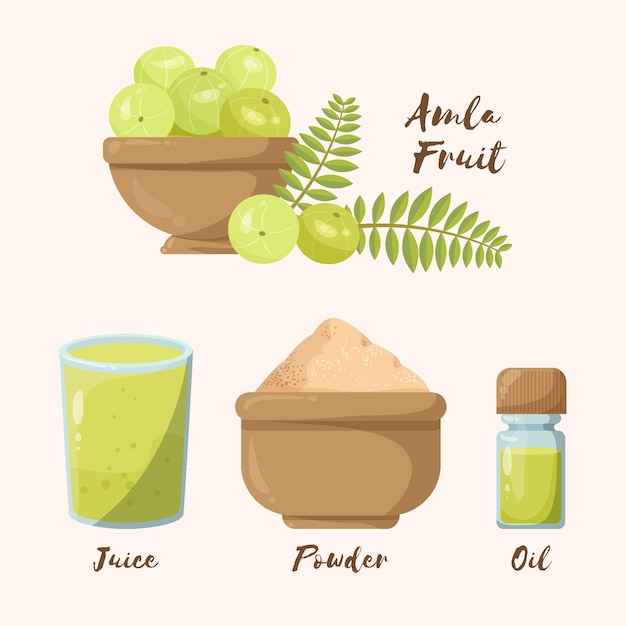 Hand drawn amla fruit elements set