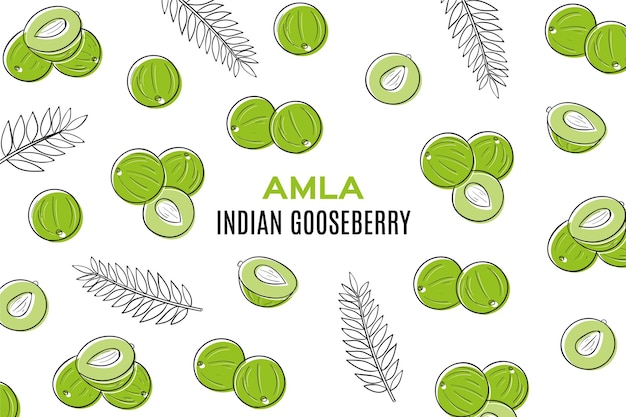 Free vector hand drawn amla fruit illustrated