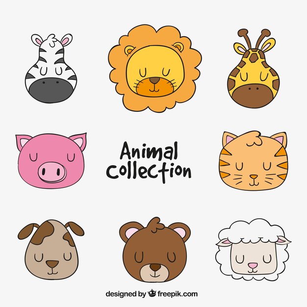 Hand-drawn animal collection