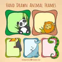 Free vector hand drawn animal frames