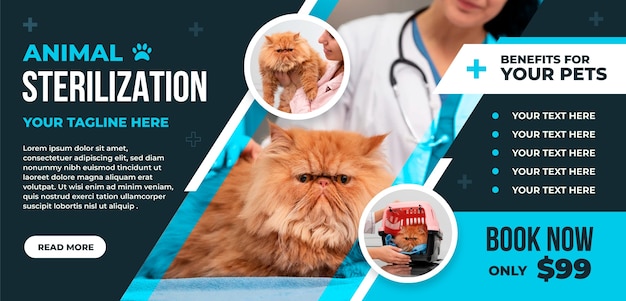 Free vector hand drawn animal sterilization horizontal banner