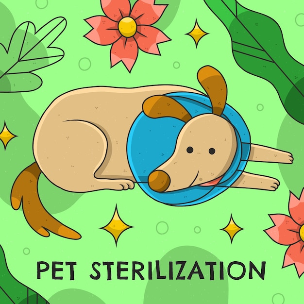 Free vector hand drawn animal sterilization illustration