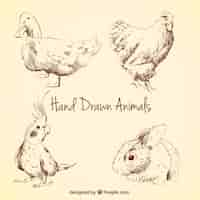 Free vector hand drawn animals collection