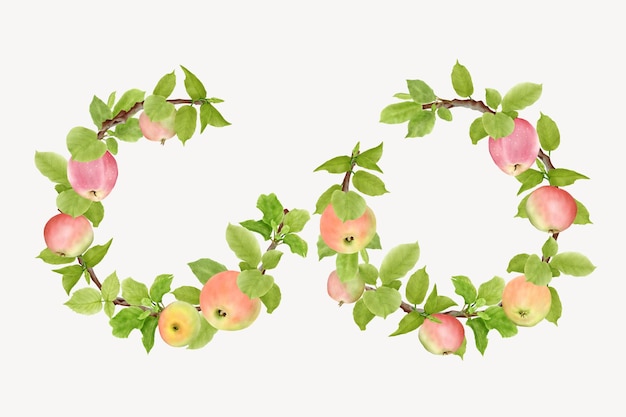 hand drawn apple fruit wreath background design