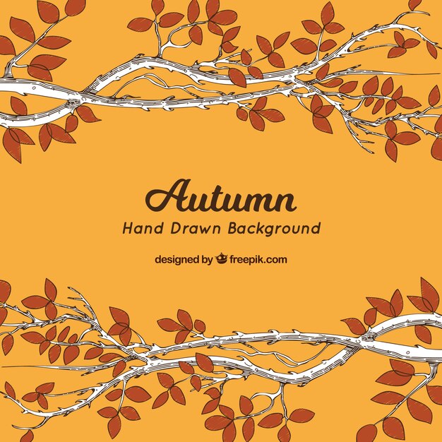 Hand drawn autumn background