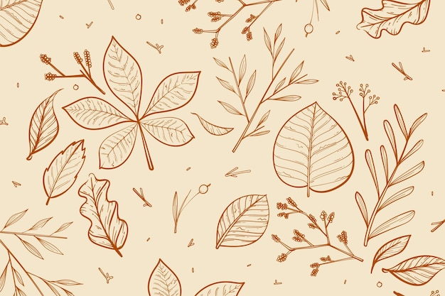 Hand drawn autumn background