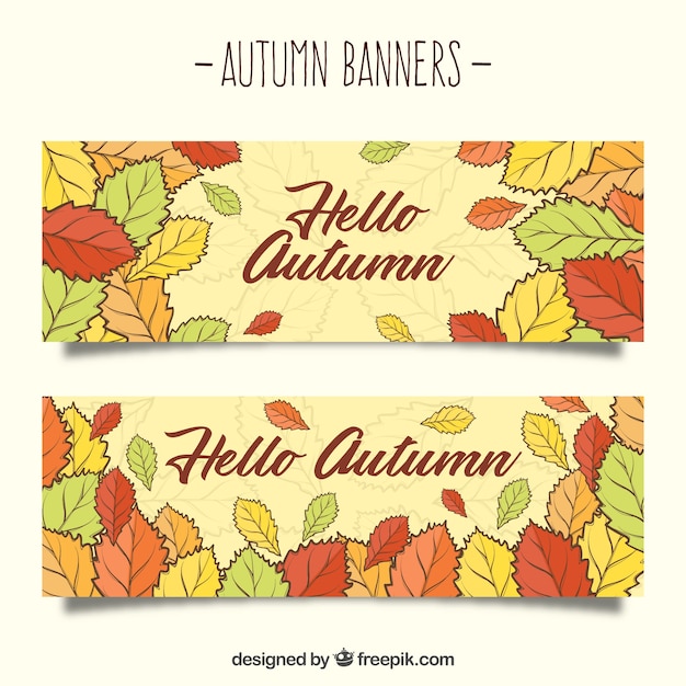 Осенние баннеры с цветными листьями