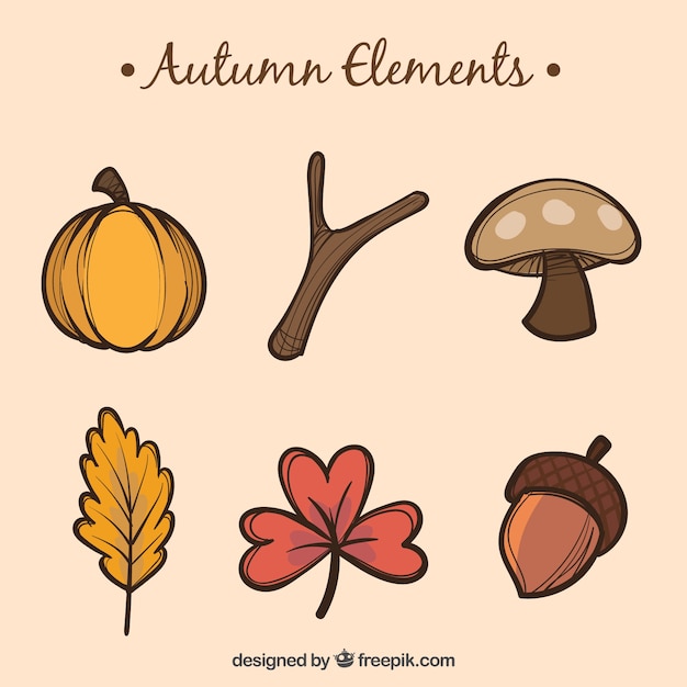 Free Vector hand drawn autumn elements
