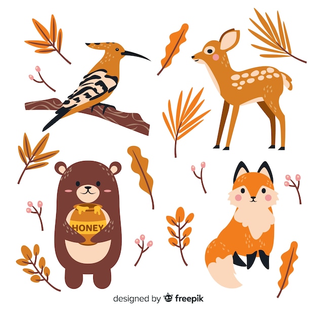 Vettore gratuito collezione di animali della foresta di autunno disegnata a mano