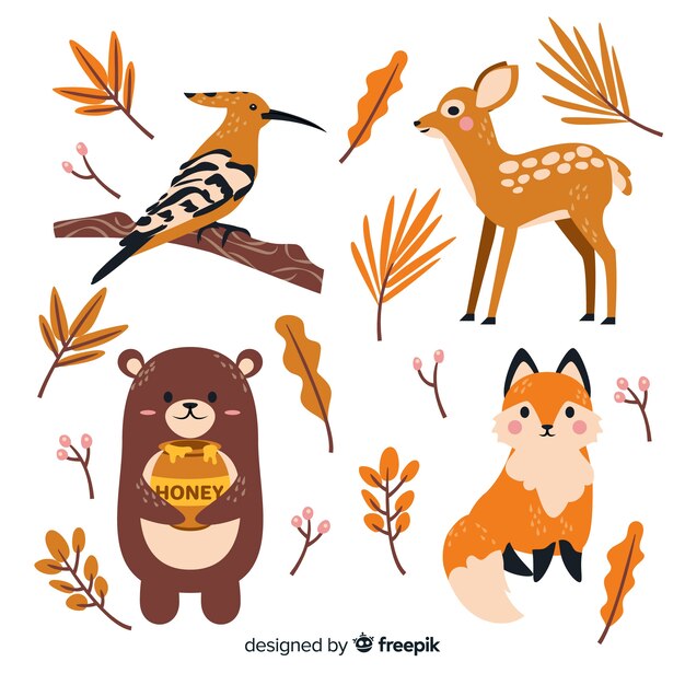 Hand drawn autumn forest animal collection