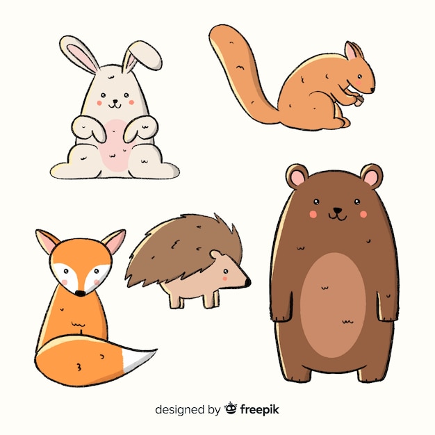 手描き秋の森の動物コレクション