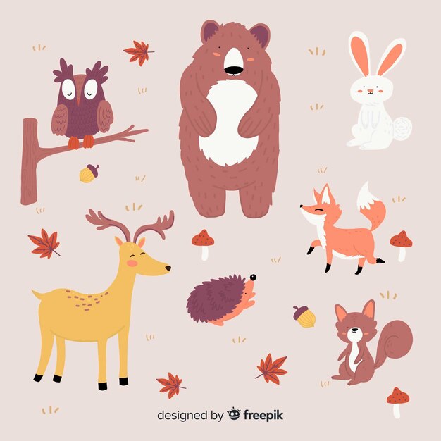 手描き秋の森の動物コレクション