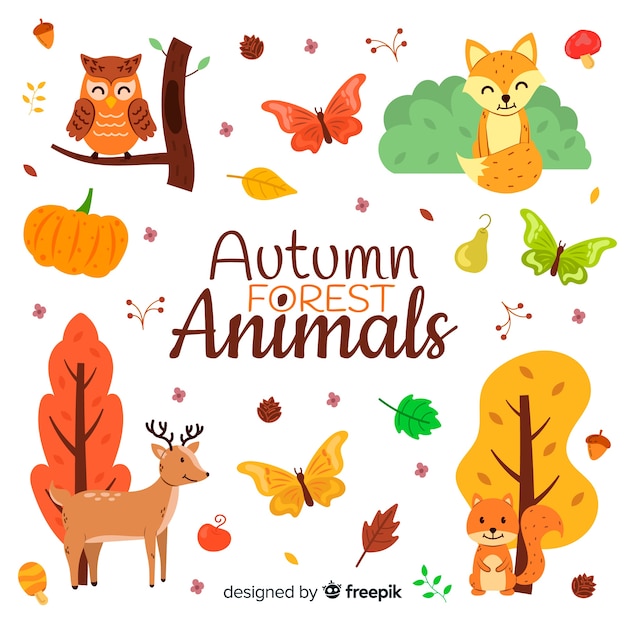 Hand drawn autumn forest animals collection