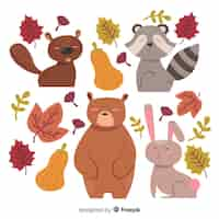 Free vector hand drawn autumn forest animals collection