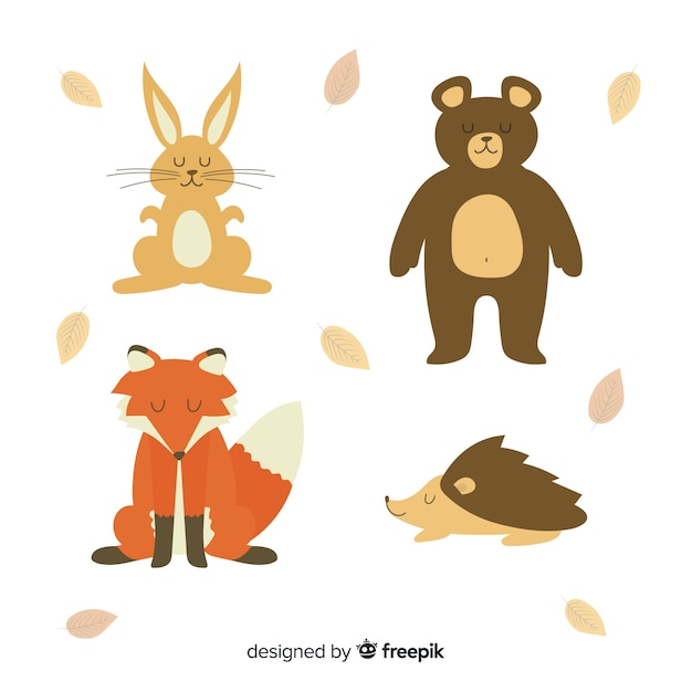 Hand drawn autumn forest animals collection