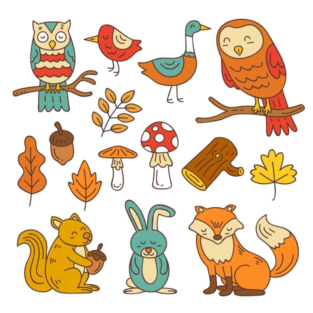 手描きの秋の森の動物コレクション